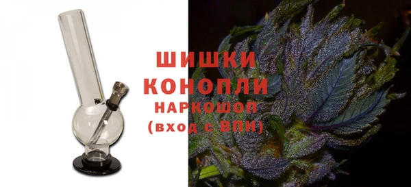 сатива Арсеньев