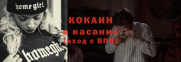 сатива Арсеньев