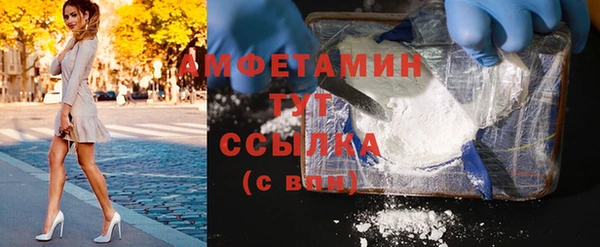 сатива Арсеньев