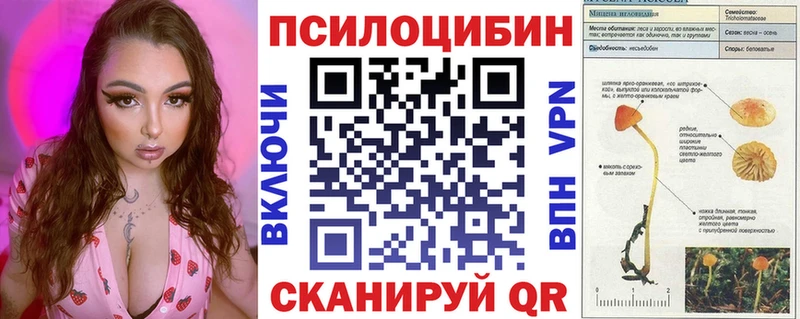 OMG ссылка Суворов Галлюциногенные грибы мухоморы где купить наркоту