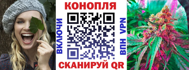 Бошки Шишки план  как найти закладки  Суворов 